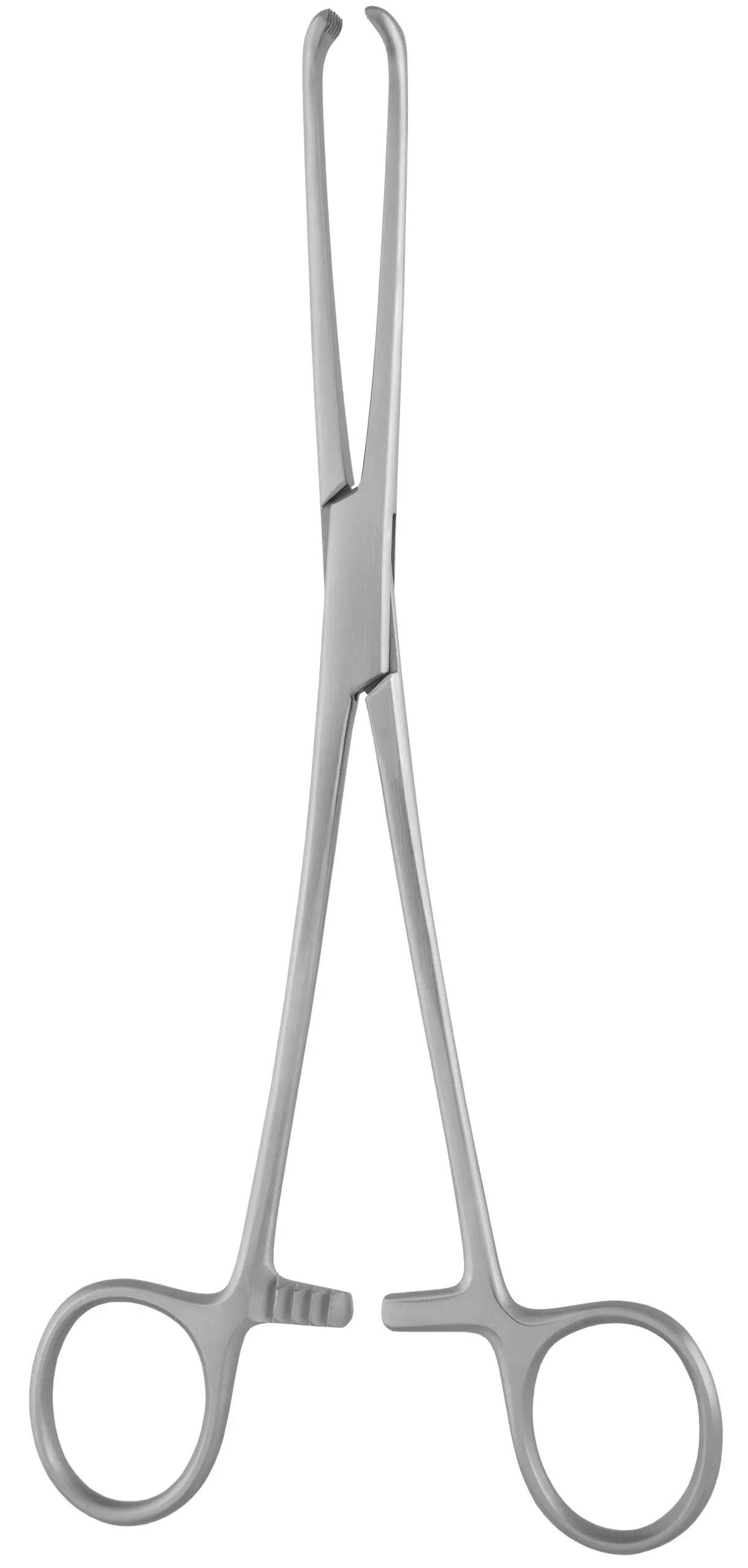 Gillies Forceps 6