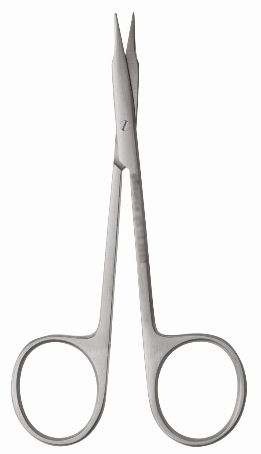gSource g2 Stevens Tenotomy Scissors, 4" straight blunt/blunt, shown against a white background.
