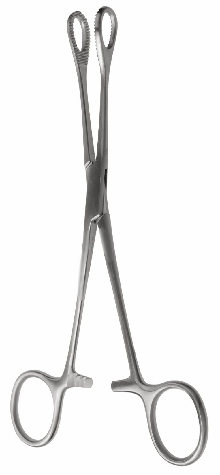 gSource g2 Foerster Sponge Forceps, 7 inches, straight and serrated, shown against a white background.